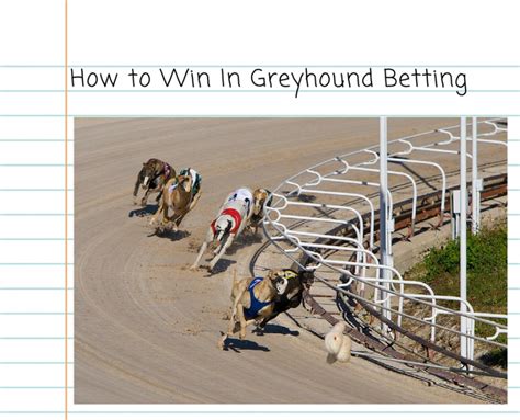 winning greyhound systems.